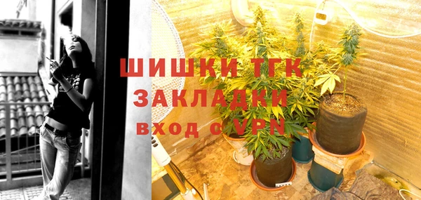 гашик Алзамай