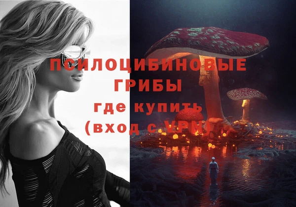 гашик Алзамай