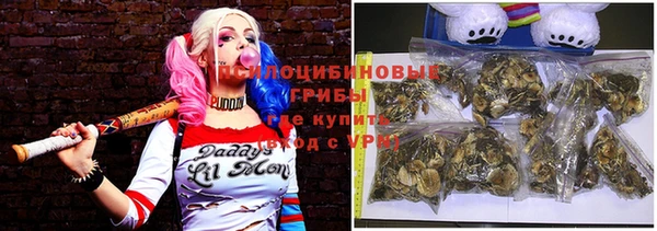 гашик Алзамай