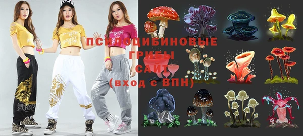 гашик Алзамай